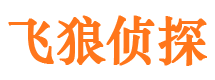 罗源市调查公司